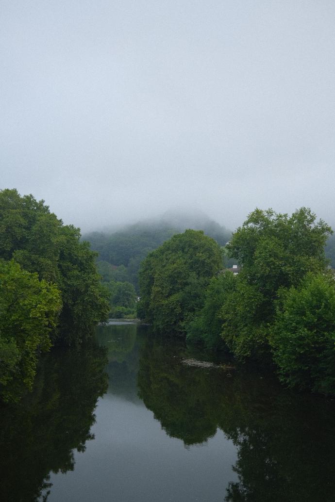 Meer met groene bomen en mist