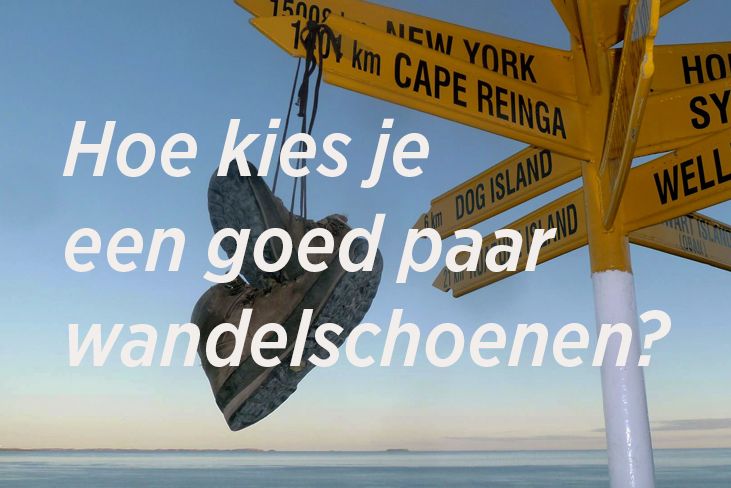 Odoo - Voorbeeld 3 voor drie kolommen