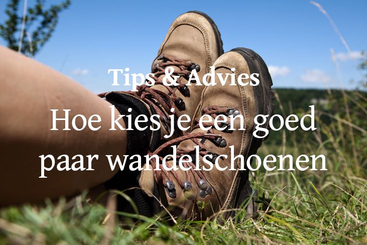 Odoo - Voorbeeld 1 voor drie kolommen