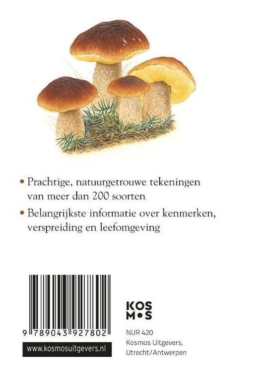 Paddenstoelen Compactgids
