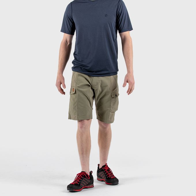 M's Abisko Shorts