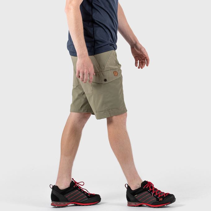 M's Abisko Shorts