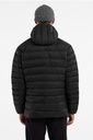 Men's Cerium Hoody