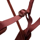 Women's Momentum Harness