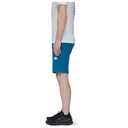 Taiss Softshell Shorts Men