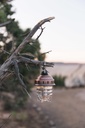 Beacon Light