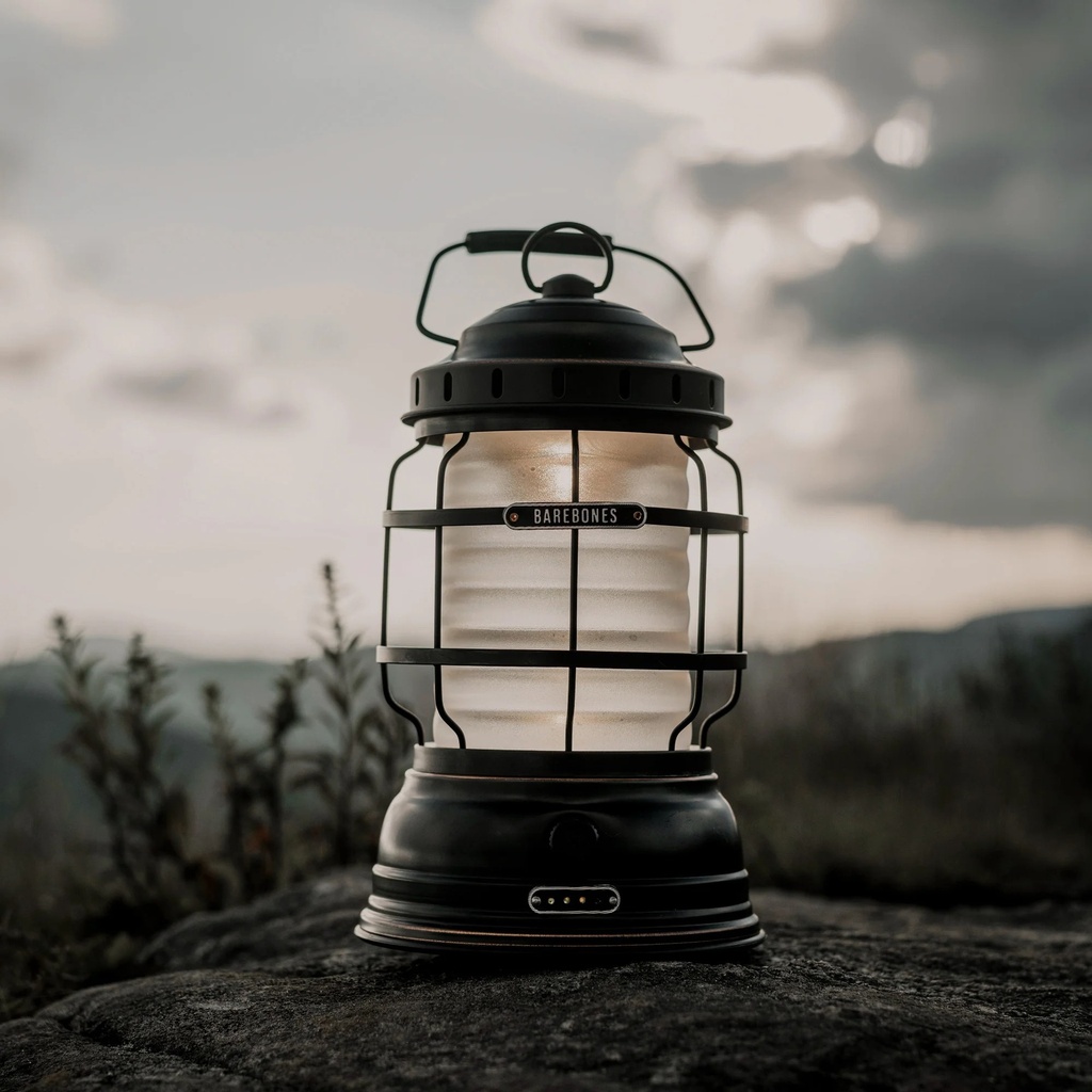 Forest Lantern Bronze
