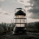 Forest Lantern Bronze