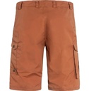 Barents-Pro-Shorts-Heren-Terracotta-Brown-shorts.JPG