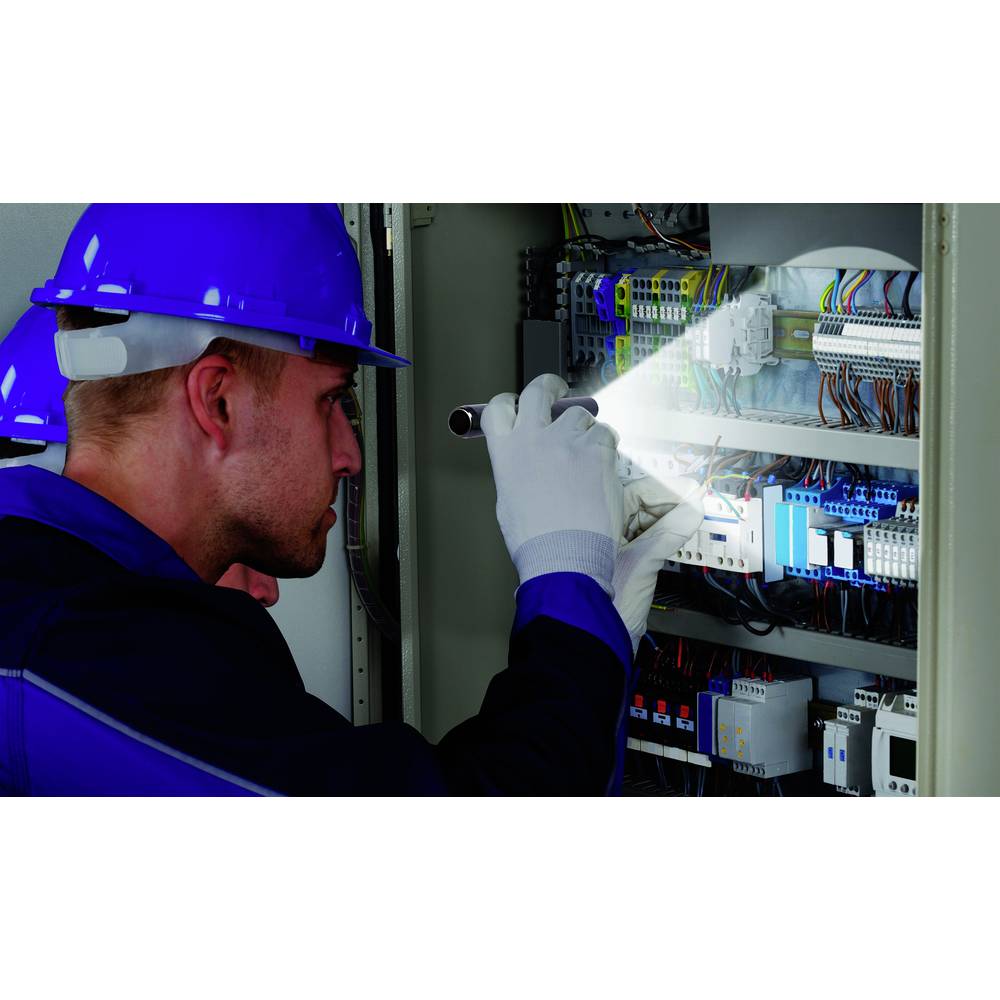 Inspection Light