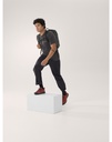 Men's-Cormac-Arc'Bird-Logo-SS-Black -Heather-t-shirt.JPG