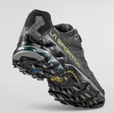 Ultra Raptor II Leather GTX Heren