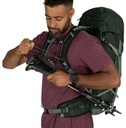 Talon 33