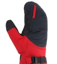 Mt. Baker II GORE-TEX Mitts