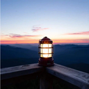 Forest Lantern