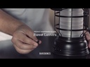 Forest Lantern