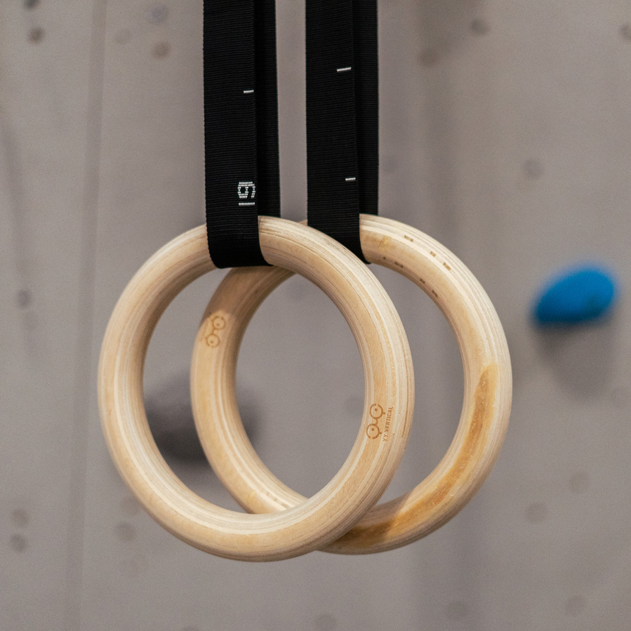 Gym Rings