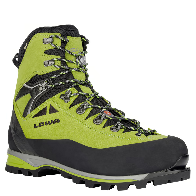 Alpine II Expert GTX Heren