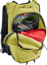 Ascender 13