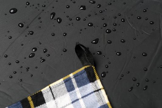 Ultra Light Picnic Blanket