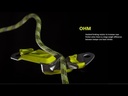 Ohm II