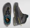 TX4 Evo Mid GTX Men