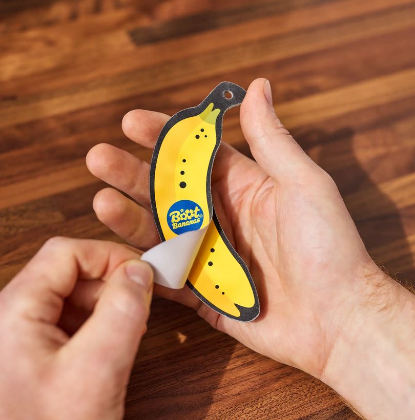Nail & Skin File