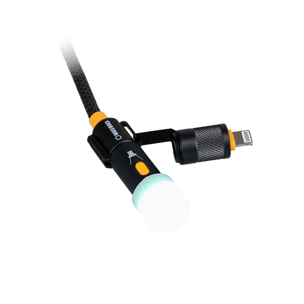 Connect Multiplus USB Cable