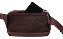 High Coast Hip Pack