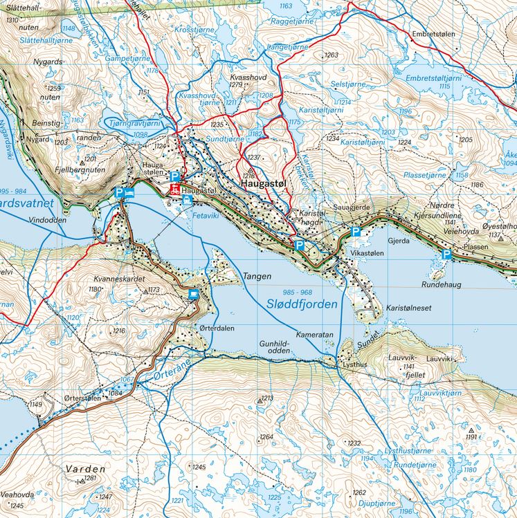CZO-NO-BD-100-Hardangervidda-Nord-Calazo-1-50.jpg