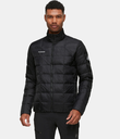 Treeline 3 in 1 HS Hooded Jacket Men