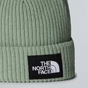 Salty Lined Beanie