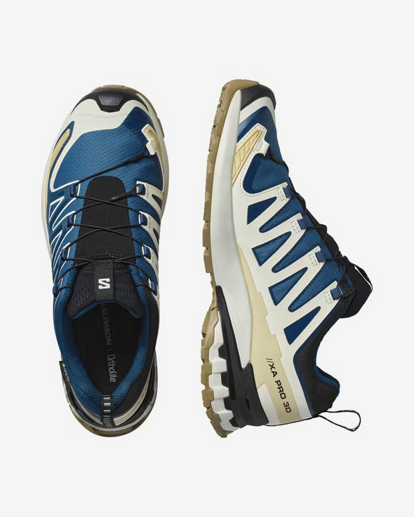 Men's Xa Pro 3D V9 GTX