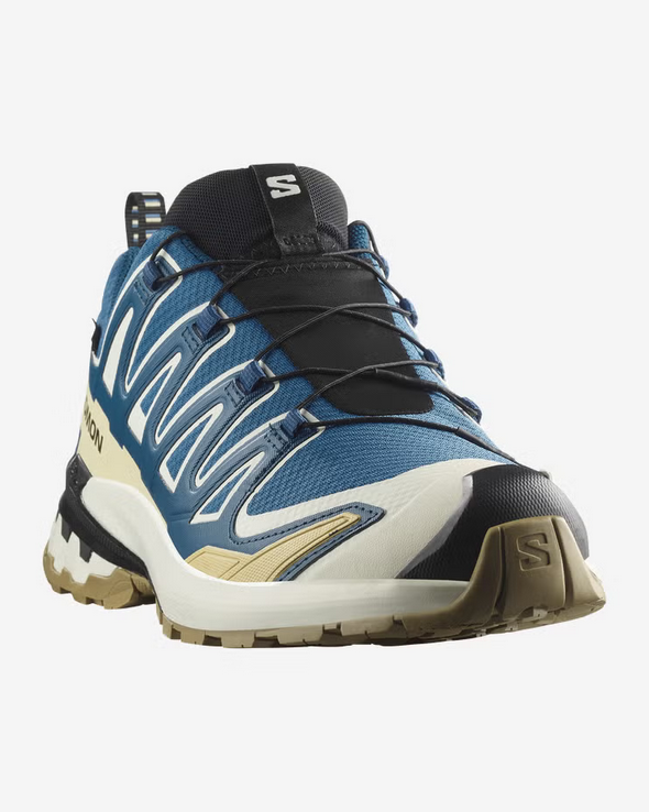 Men's Xa Pro 3D V9 GTX