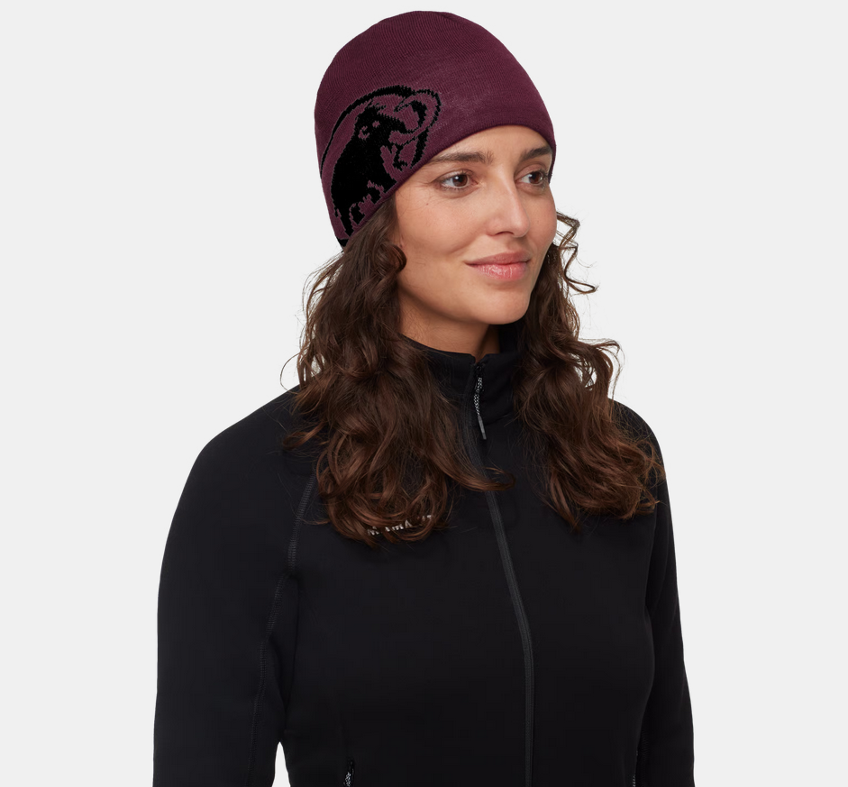 Tweak Beanie