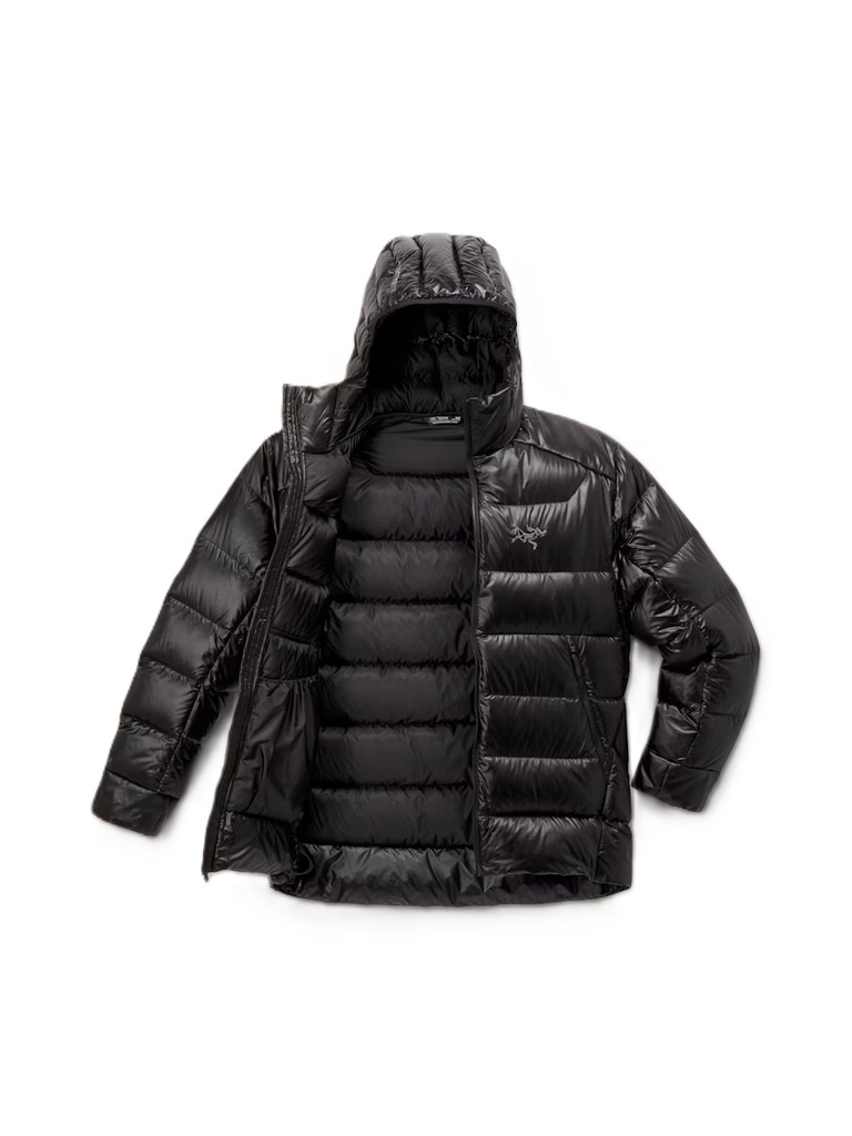 Men's Cerium SV Hoody
