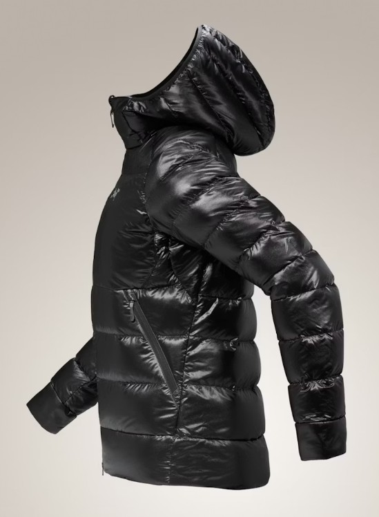 Women's Cerium SV Hoody