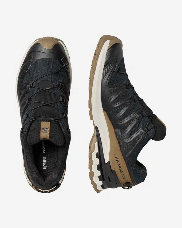 Men's XA Pro 3D V9 GTX Lifelong