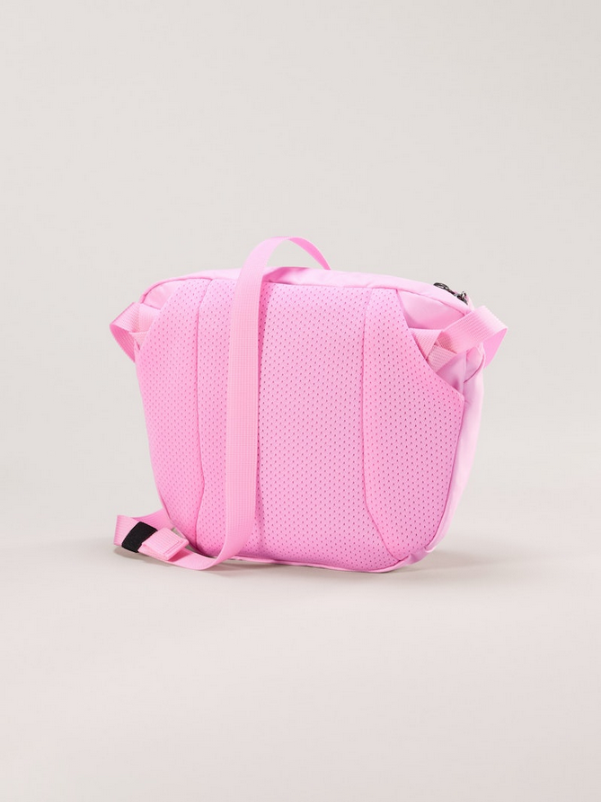 Mantis 2 Waist Pack