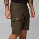 Abisko Shorts Heren