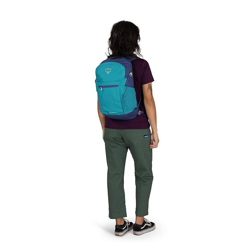 Daylite Plus