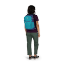 Daylite Plus