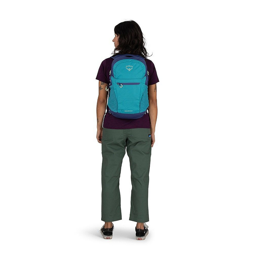 Daylite Plus