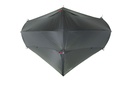 Aeron 1