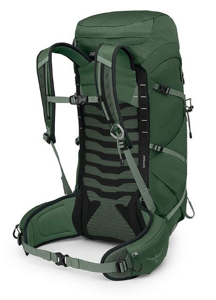 Talon 33