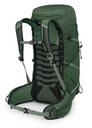 Talon 33