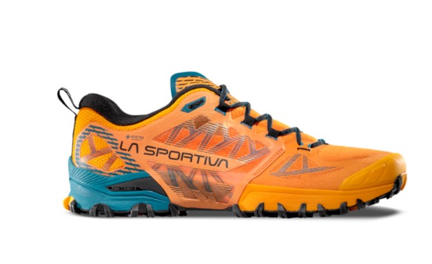 Men's Bushido III GTX