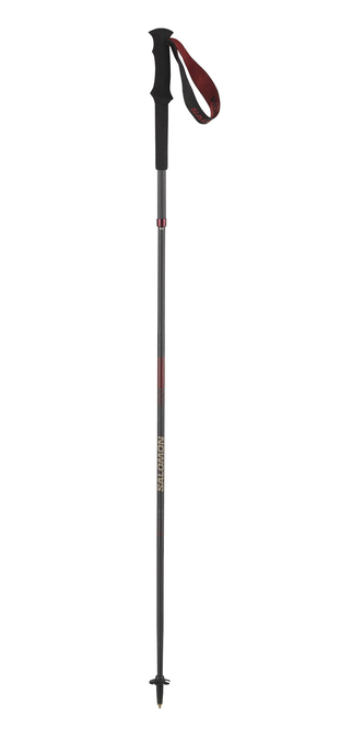Quest Carbon Foldable Poles