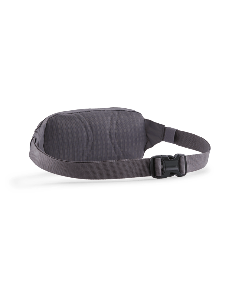 Terravia Mini Hip Pack