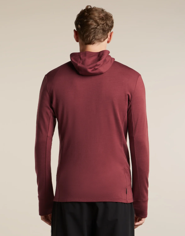 Men's Merino 260 Quantum IV LS Zip Hoodie